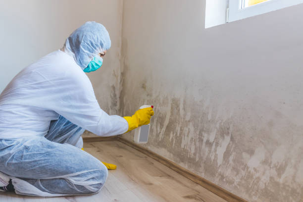Licensed Commercial Mold Remediation service in Wake, VA - Car Mold Remediation