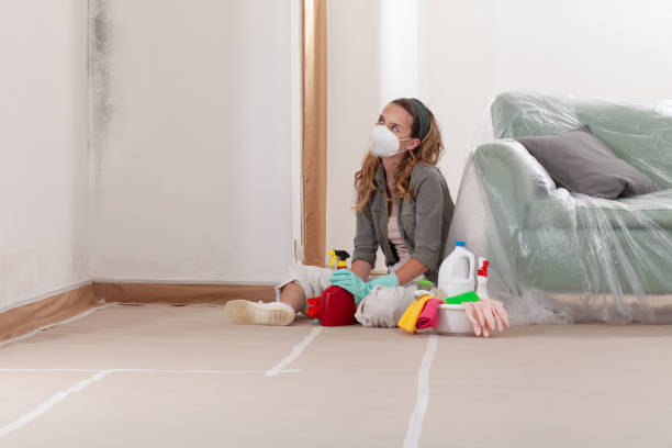 Reliable Commercial Mold Remediation contractor in Wake, VA by Car Mold Remediation